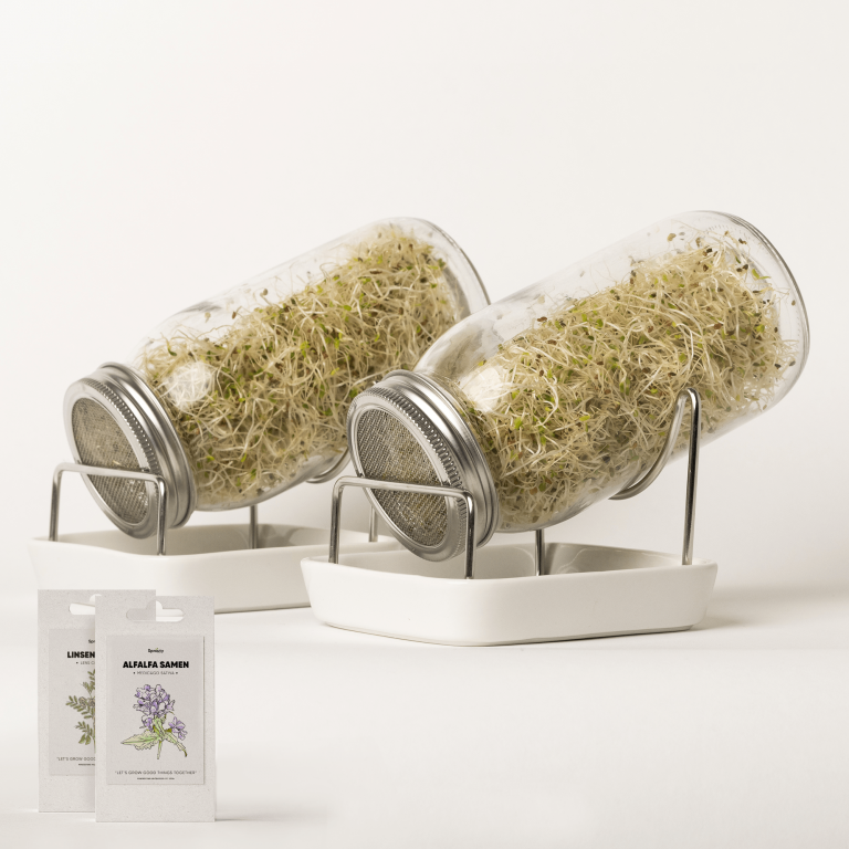 Sprouty Jar Starterset-Paket